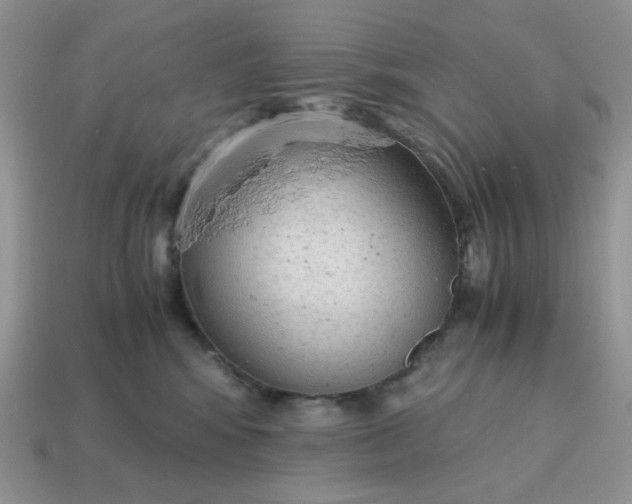 X0000114600424200911091321