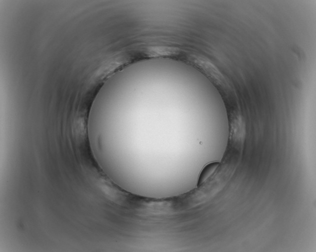 X0000114600426200911091321