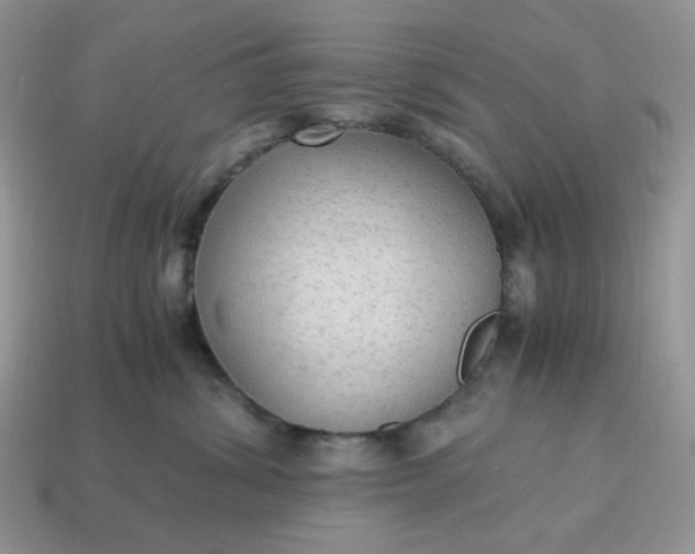 X0000114600428200911091321