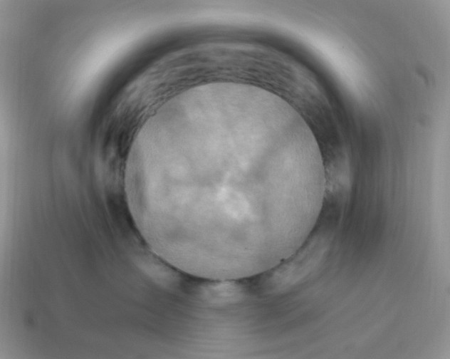 X0000114600431200911091321