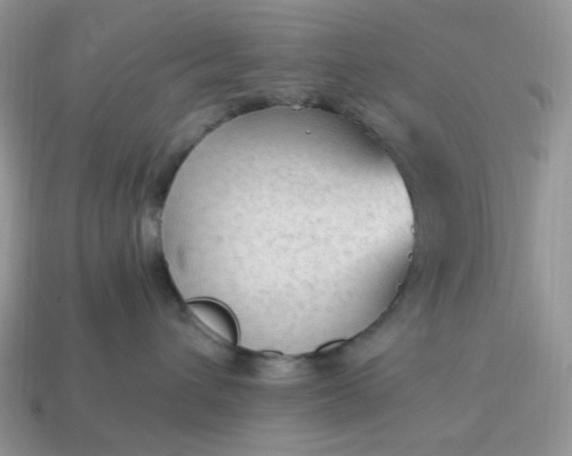 X0000114600432200911091321