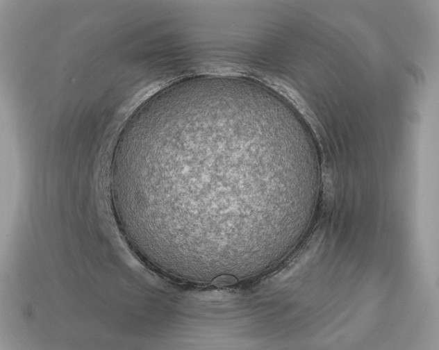 X0000114600433200911091320