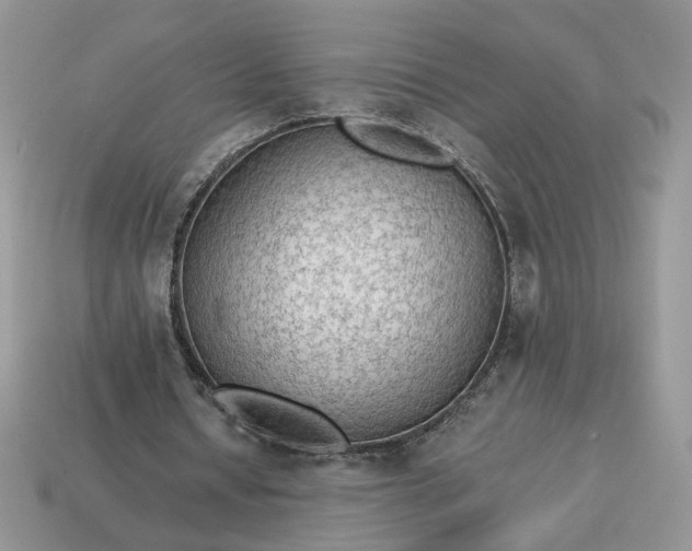 X0000114600434200911091320