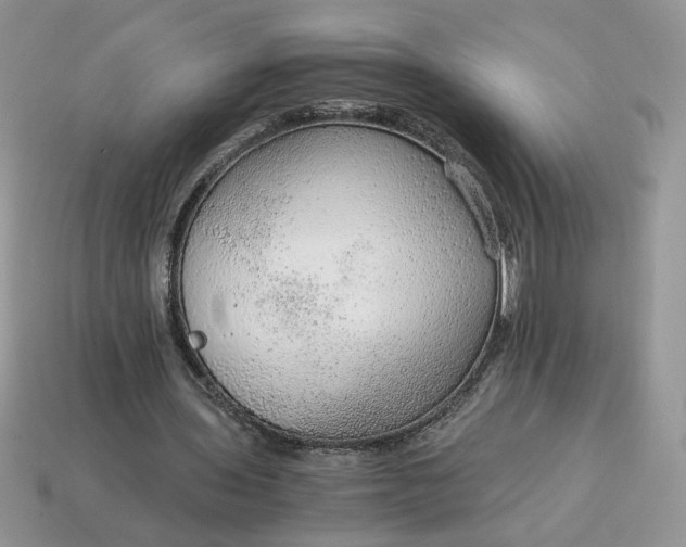 X0000114600435200911091320