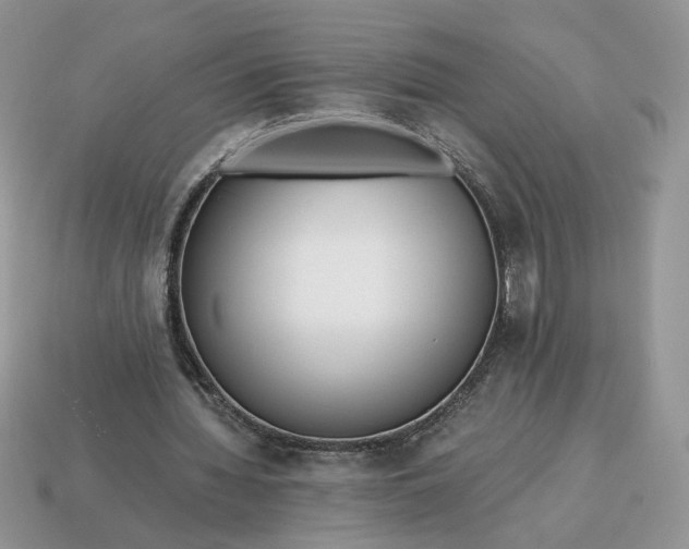 X0000114600436200911091320