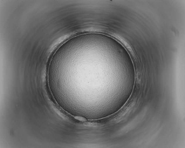 X0000114600437200911091320