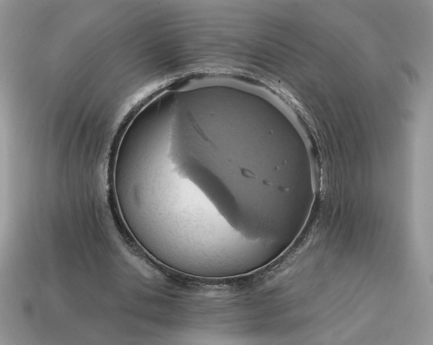 X0000114600438200911091320