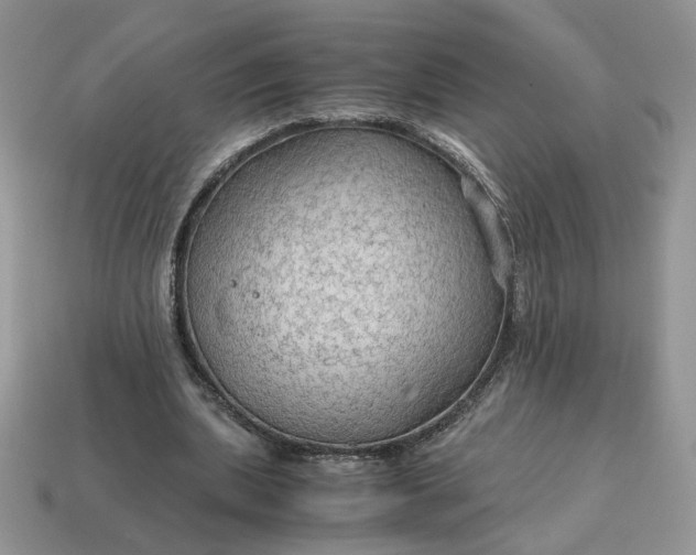 X0000114600439200911091320