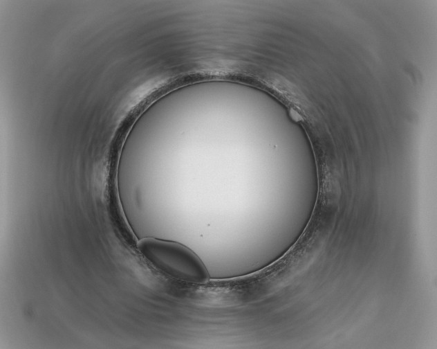 X0000114600440200911091320