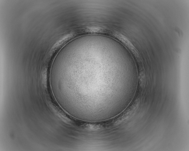 X0000114600442200911091320