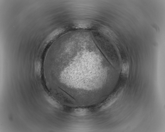 X0000114600444200911091320