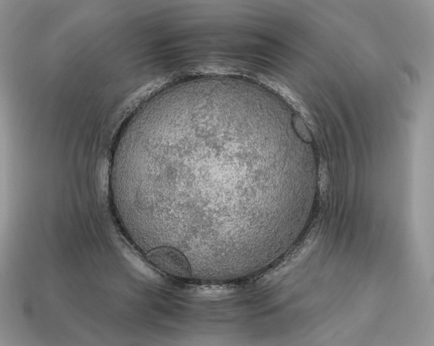 X0000114600445200911091320