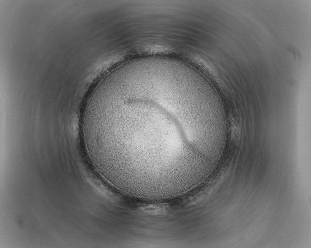 X0000114600447200911091320