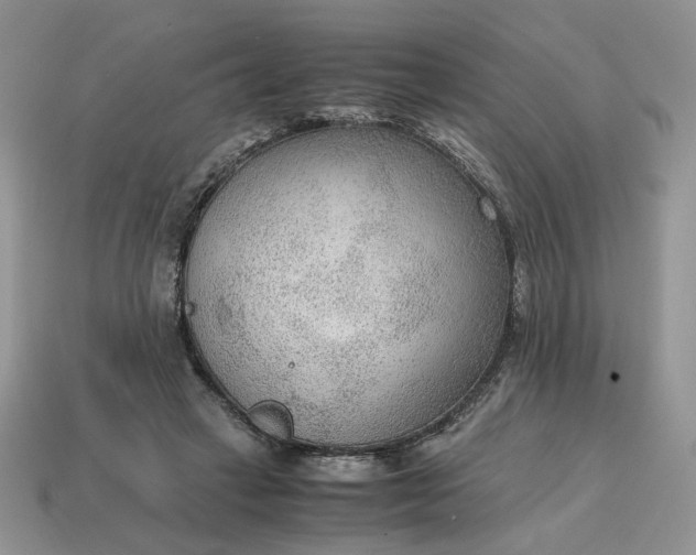 X0000114600449200911091321