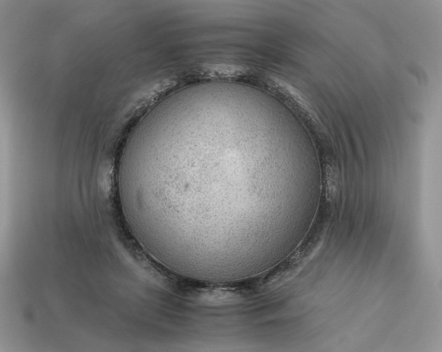 X0000114600451200911091321