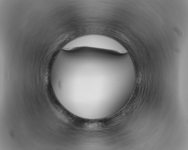 X0000114600452200911091321