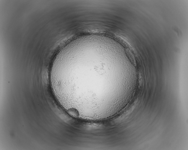 X0000114600453200911091321