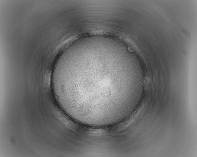 X0000114600454200911091321