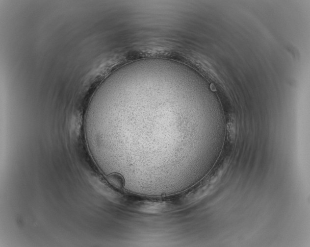 X0000114600458200911091321