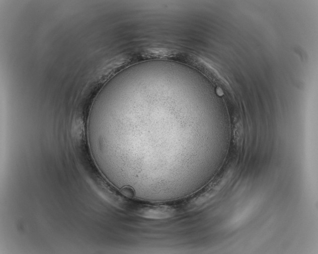 X0000114600459200911091321