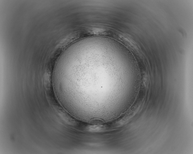 X0000114600461200911091321