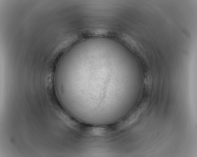 X0000114600462200911091321