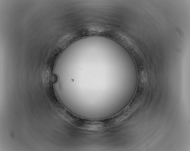 X0000114600463200911091321