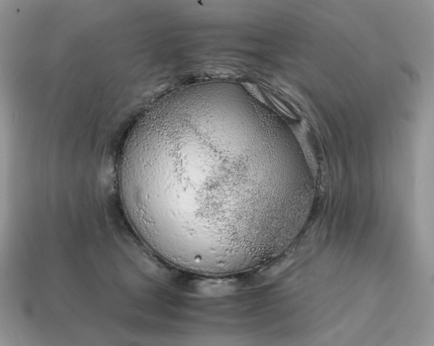 X0000114600465200911091321