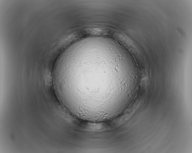 X0000114600469200911091321