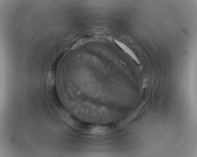 X0000114600471200911091321