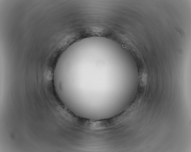 X0000114600472200911091321