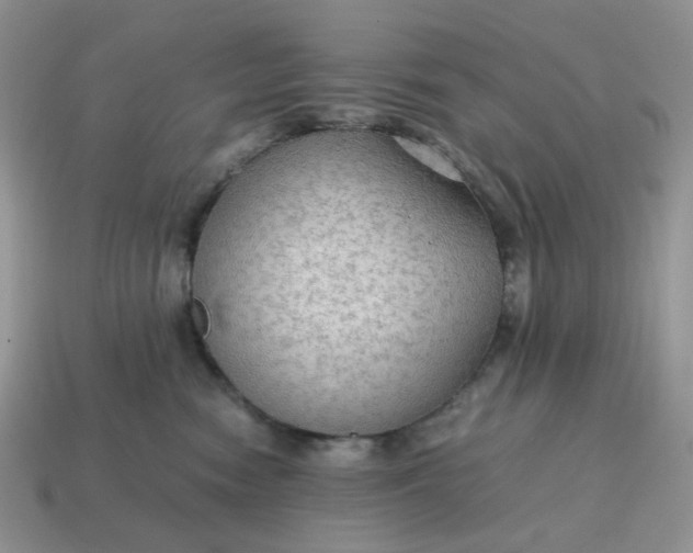 X0000114600474200911091321