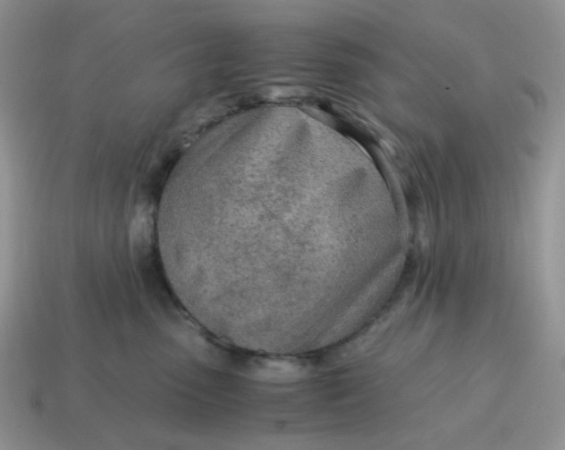 X0000114600475200911091321