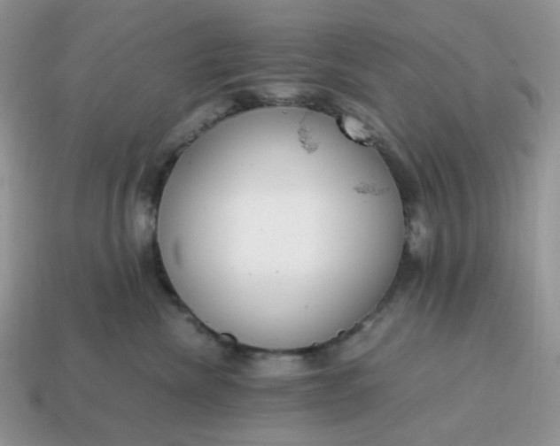 X0000114600476200911091321