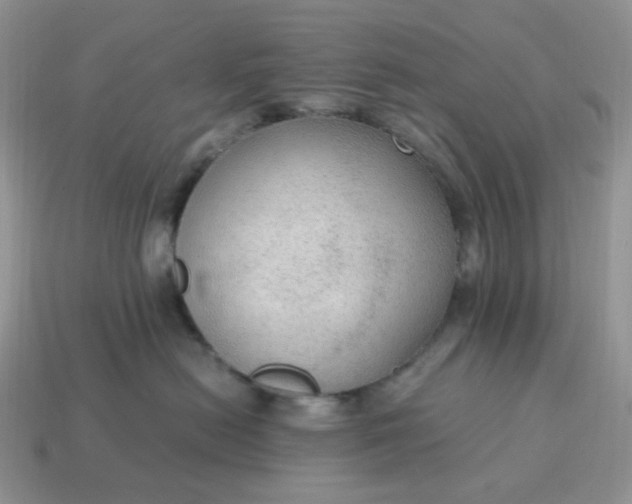 X0000114600478200911091321