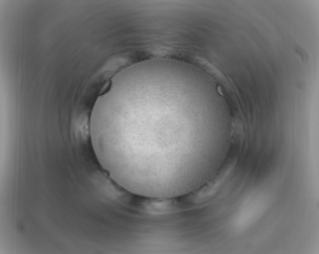 X0000114600479200911091321