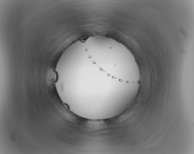 X0000114600480200911091321