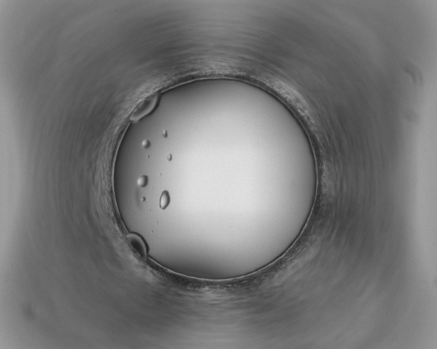 X0000114600481200911091320