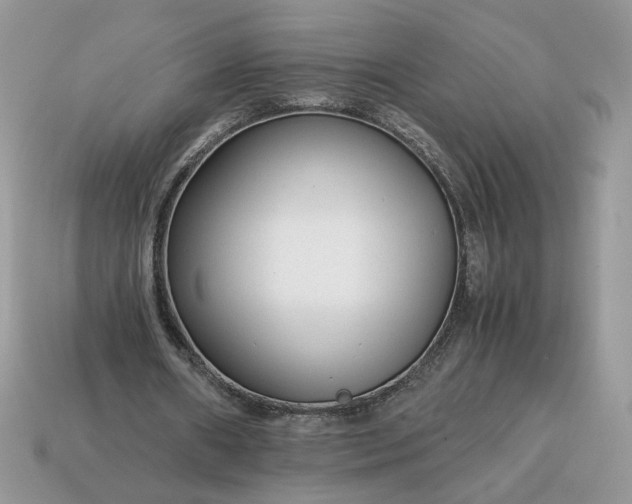 X0000114600482200911091320