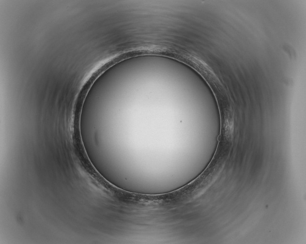 X0000114600484200911091320