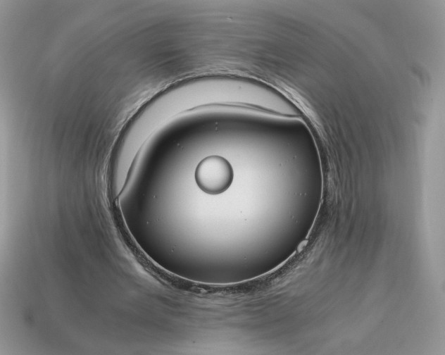 X0000114600485200911091320