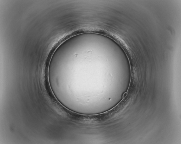 X0000114600487200911091320