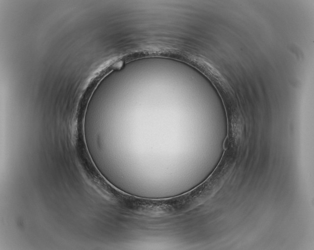 X0000114600488200911091320