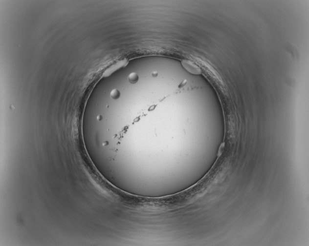 X0000114600489200911091320