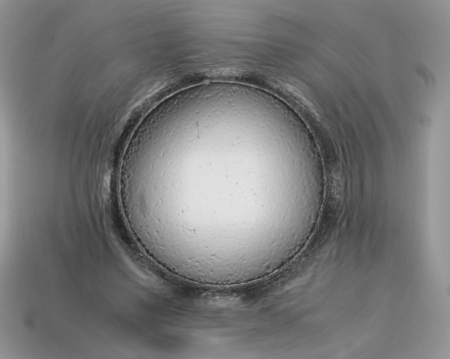 X0000114600491200911091320