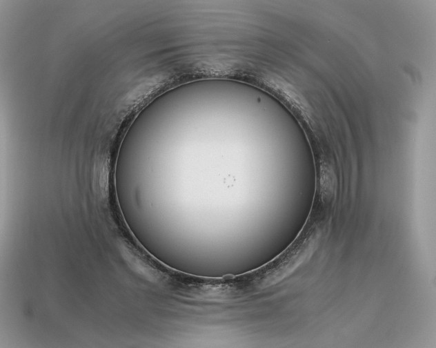 X0000114600493200911091320