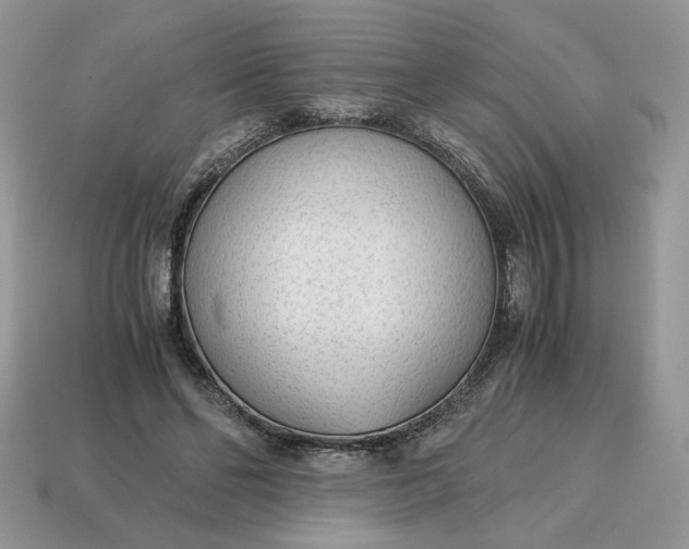 X0000114600494200911091320