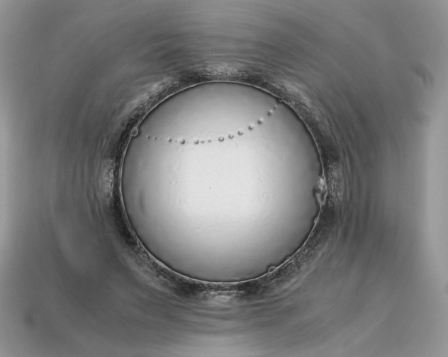 X0000114600495200911091320