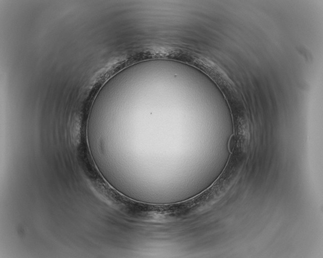 X0000114600496200911091320