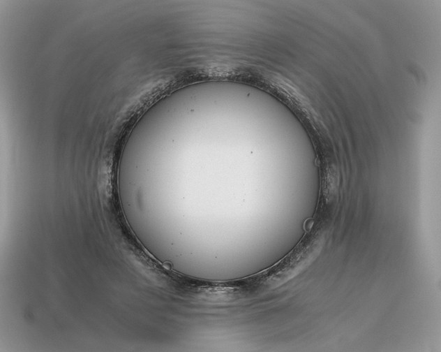 X0000114600497200911091320